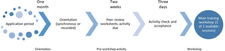 Lessons learnt from a scientific peer-review training programme designed to support research capacity and professional development in a global community