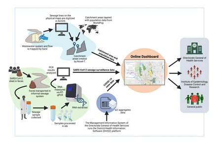 Interactive SARS-CoV-2 dashboard for real-time geospatial visualisation of sewage and clinical surveillance data from Dhaka, Bangladesh: a tool for public health situational awareness