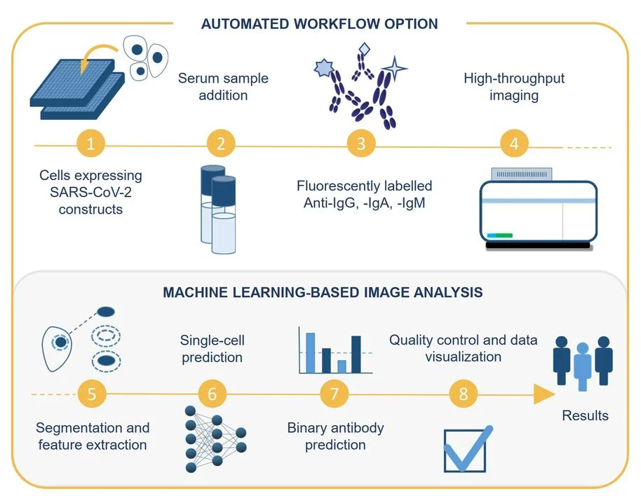 Digital Virology: AI’s Expert Eye Identifies Infections